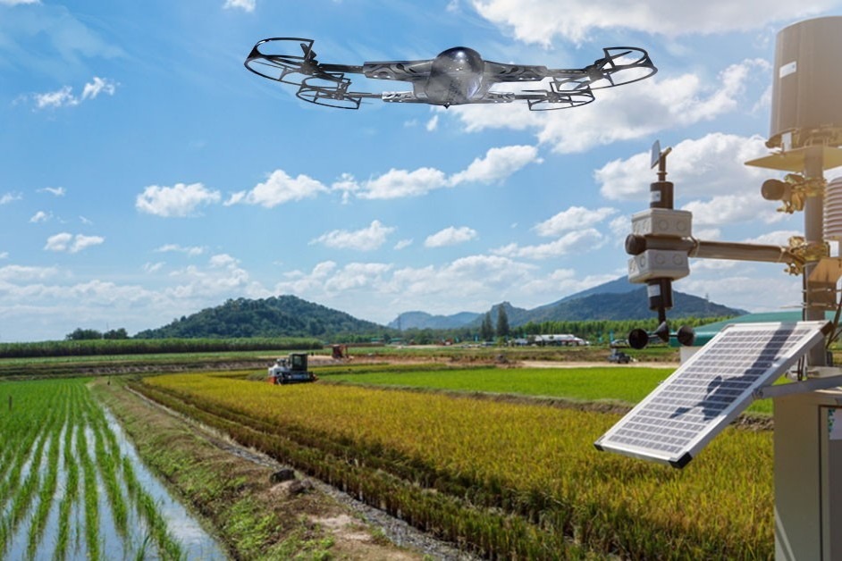 https://demo.graphicswise.co.ke/wp-content/uploads/2026/07/smart-farming-loan.jpg